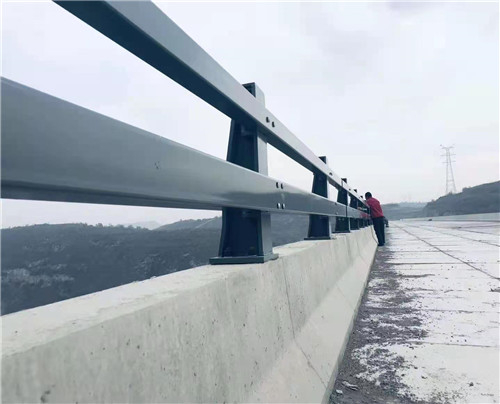景觀護(hù)欄 橋梁護(hù)欄 來圖定制